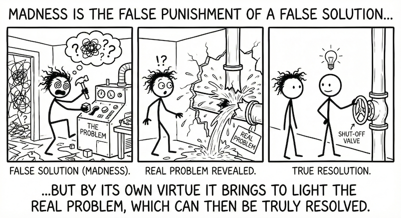 A curious case of madness