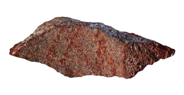 Img courtesy: National History Museum